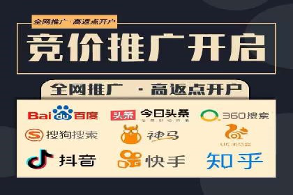 某电商平台的SEM推广策略全解析